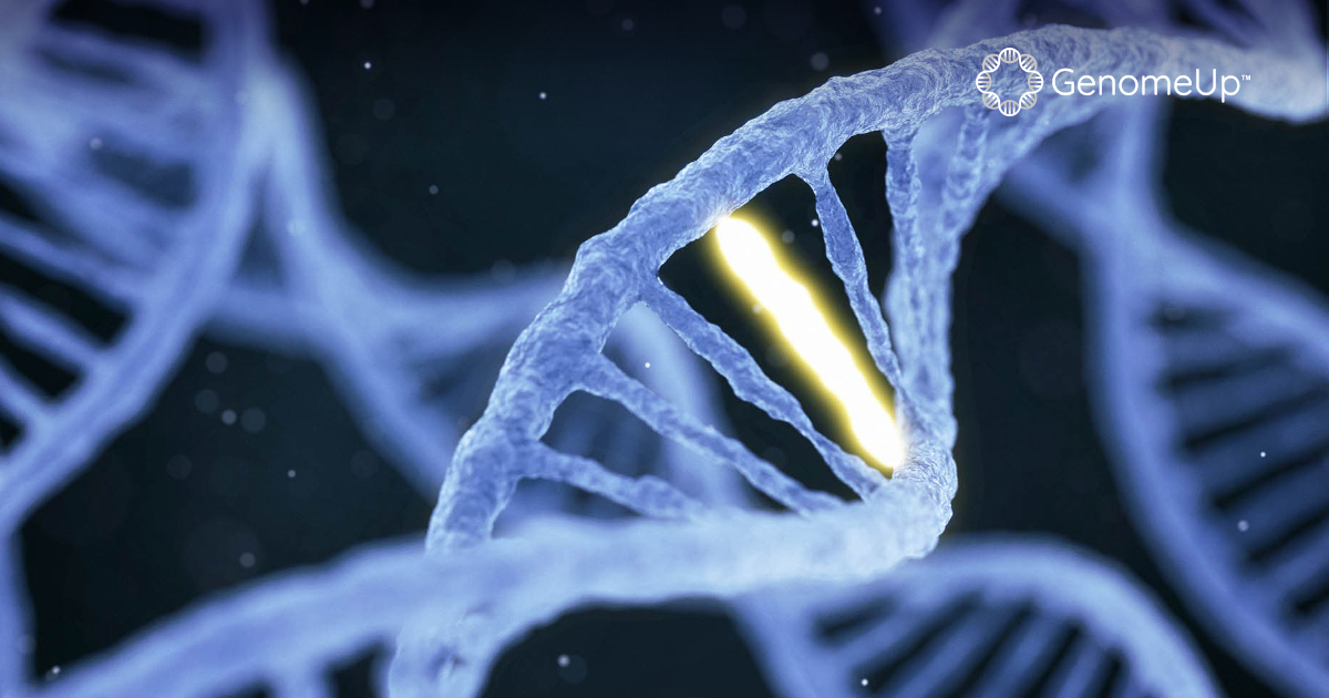 Dall’evoluzione al cancro: il ruolo delle mutazioni genetiche.