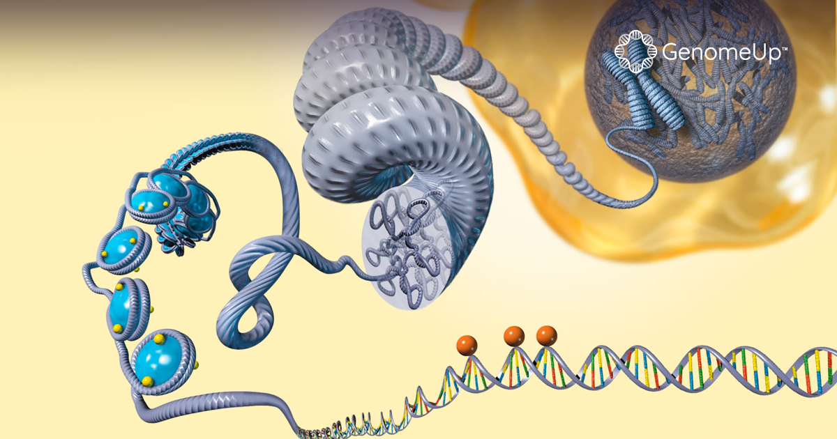Epigenetica: come l’ambiente e il genoma si influenzano a vicenda.